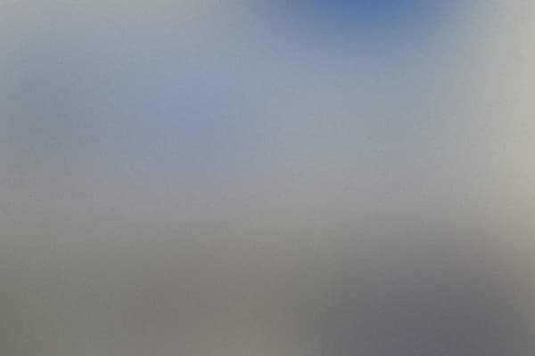 Picture of HABITAT - WHISPER IN THE WOODS  cover image