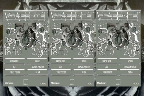 Picture of VAULT  cover image