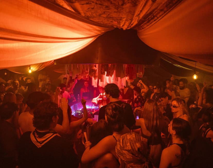 Picture of Talia Zaken on Senses and Jetblack cover image