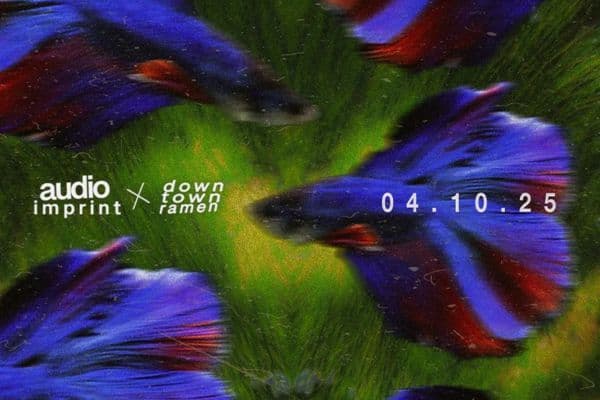 Picture of AUDIO IMPRINT X DTR cover image