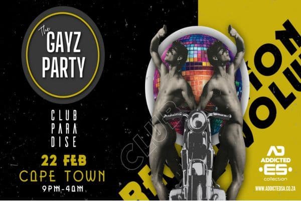 Picture of THE GAYZ PARTY cover image