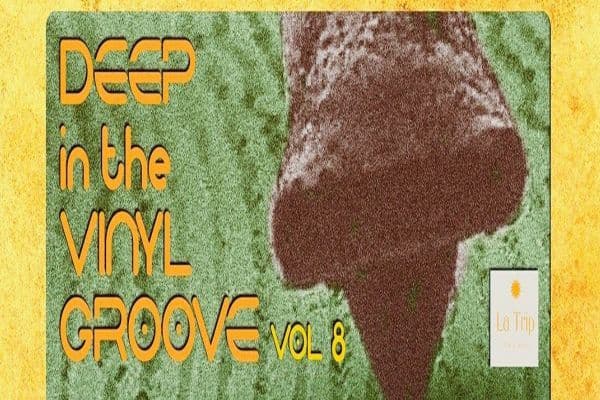 Picture of DEEP IN THE VINYL GROOVE cover image