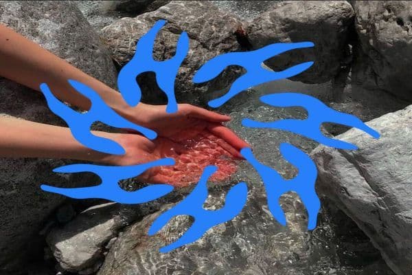 Picture of Hotboxed Records VA002 cover image