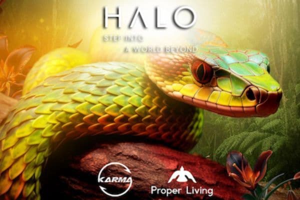 Picture of SECRET GARDEN  cover image