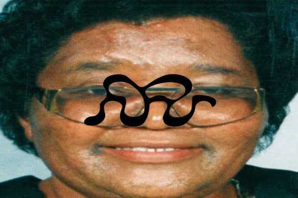 Picture of HOUSE OF PIOUS cover image