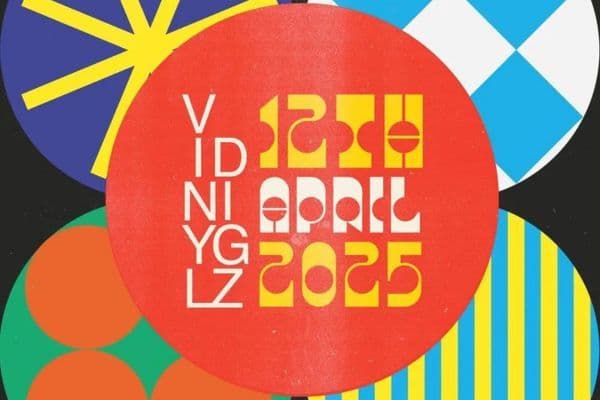 Picture of Vinyl Digz cover image