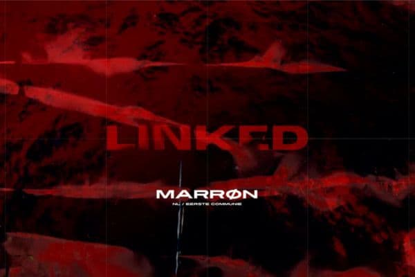 Picture of LINKED PRES MARRØN cover image