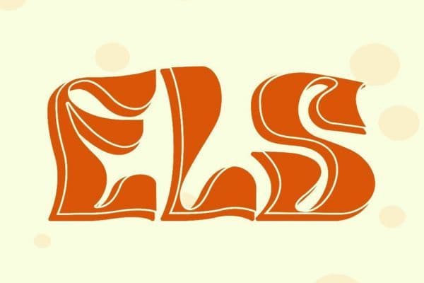 Picture of Everybody Loves Sundays cover image