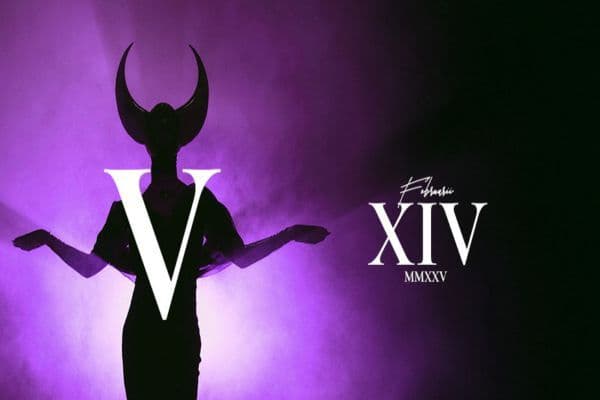 Picture of V cover image