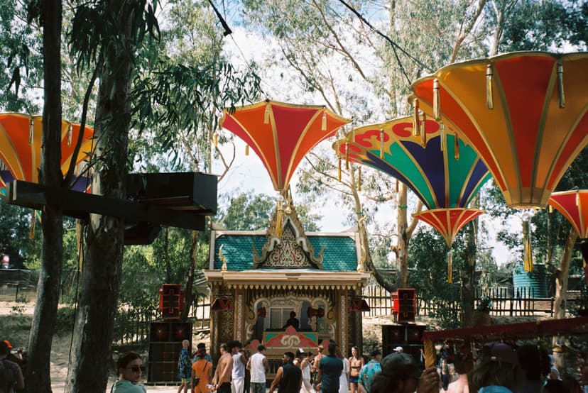 Picture at Bazique 2025