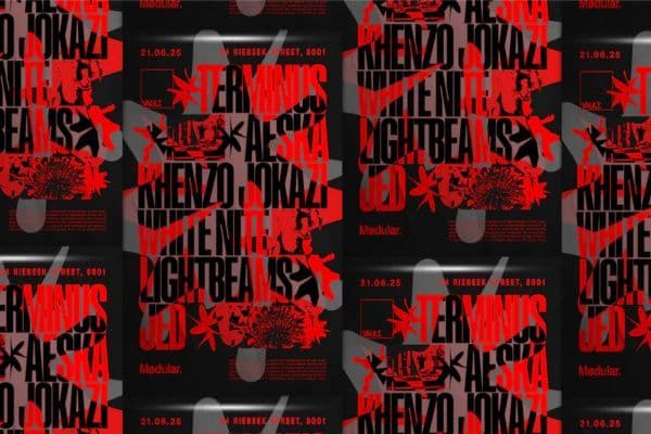 Picture of VAULT  cover image