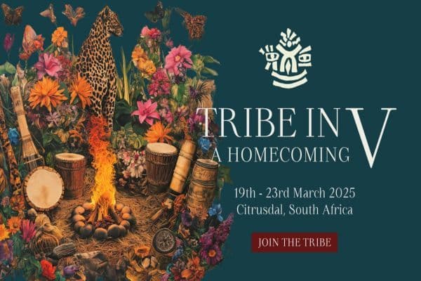 Picture of Tribe In V cover image